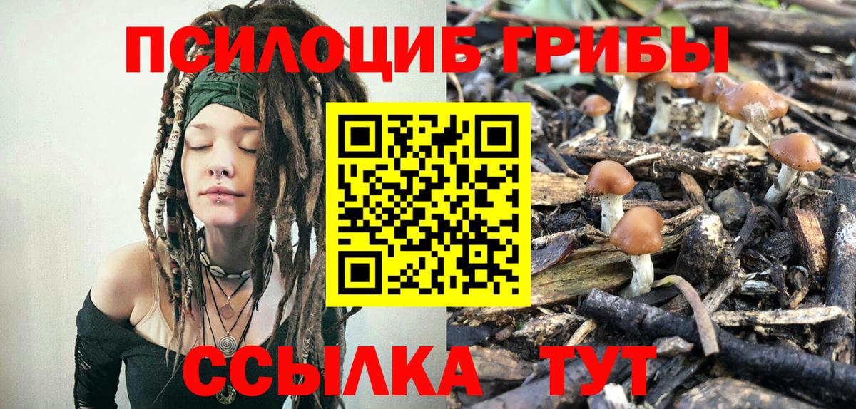Псилоцибиновые грибы Cubensis  Псилоцибиновые грибы MAGIC MUSHROOMS  Белореченск  Вход с VPN 